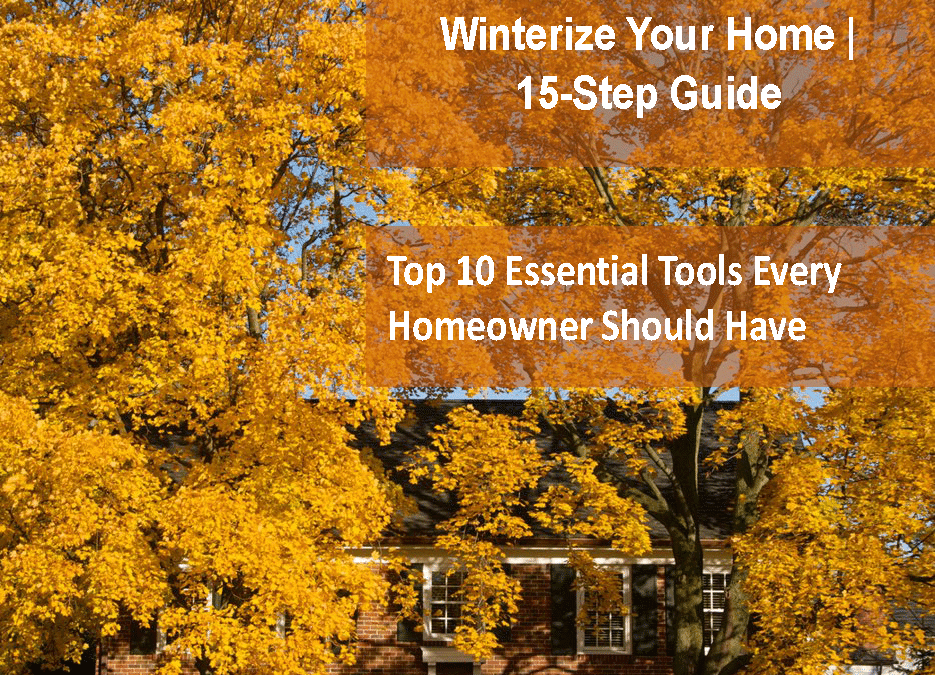 ServiceLocal.net Magazine | October 2023 Issue